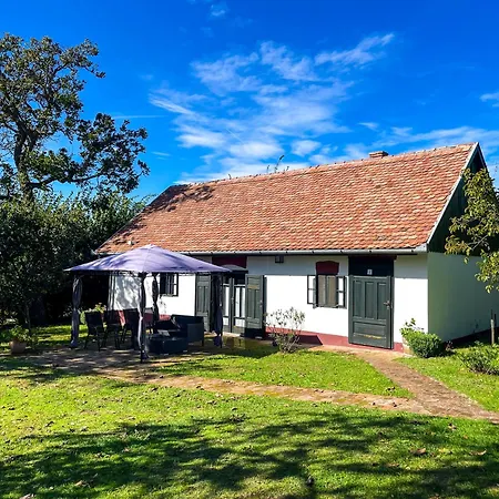 Apartman Fuege Major Balatonlelle