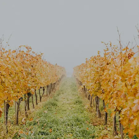 شقة Fuege Major *