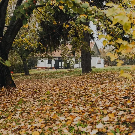 Fuege Major バラトンレッレ