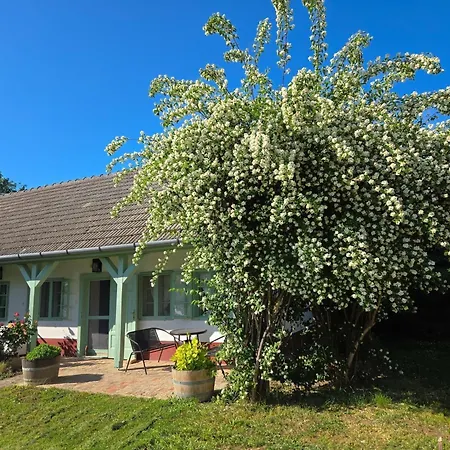 Fuege Major Balatonlelle