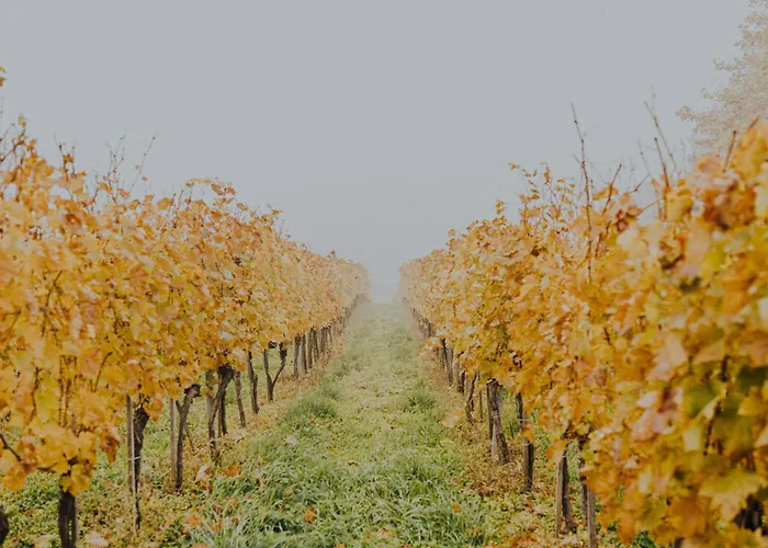 Апартаменты Fuege Major *