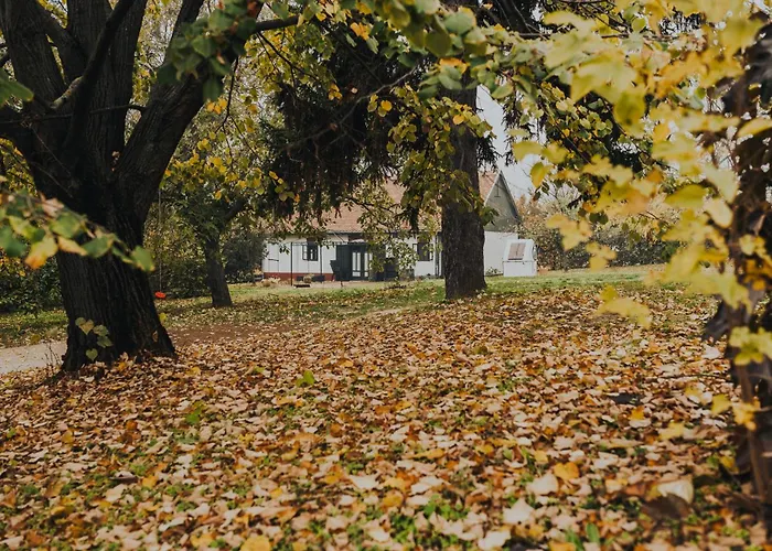 Fuege Major בלטונללה