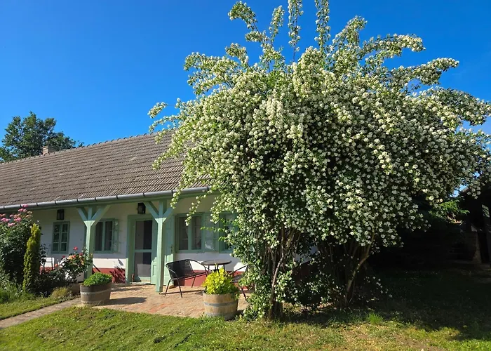 Fuege Major Балатонлелле